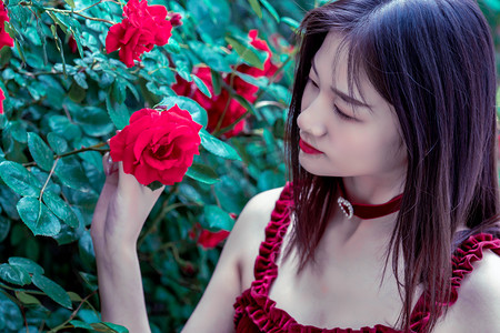 济南动物园为大熊猫华奥庆祝18岁生日